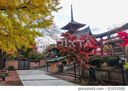 紅葉季節的彩聖院五層塔(青森縣弘前市) 紅葉季節的彩聖院五層塔(青森縣弘前市) 81855086