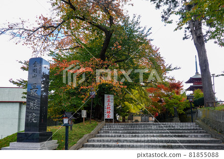 Saishoin Five-storied Pagoda during the fall foliage season (Hirosaki City, Aomori Prefecture) 81855088