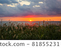 石狩灣日落照片 81855231