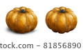 Illustration of a lot of pumpkins and Jack O Lanterns 81856890