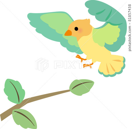 A small bird trying to perch on a tree branch A small bird trying to perch on a tree branch 81857438
