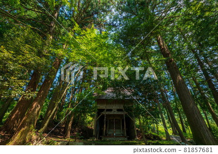 拍攝京都府宮津市神瀨屋瀨耶姬神社 81857681