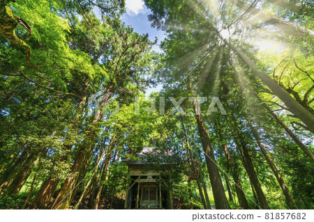 拍攝京都府宮津市神瀨屋瀨耶姬神社 81857682