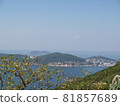 博斯普魯斯海峽中的島嶼 81857689