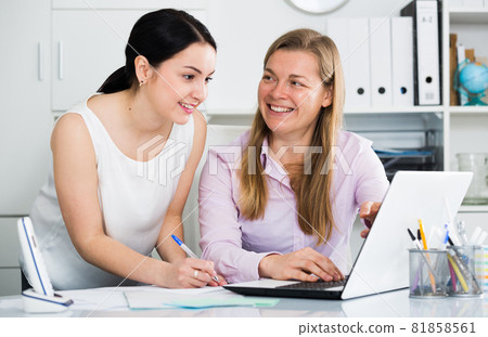 Colleagues working on project 81858561