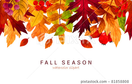 Fall leaves, hand drawn vector watercolor illustration 81858808