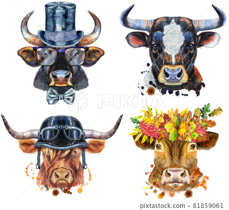 Set of watercolor bulls on white background. Set of watercolor bulls on white background. 81859061