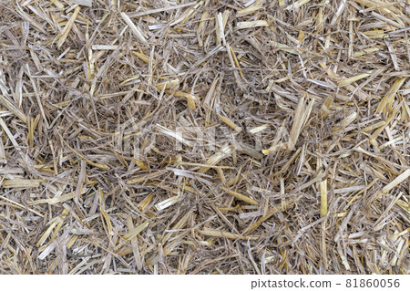 Detail photo of a straw bale Detail photo of a straw bale 81860056