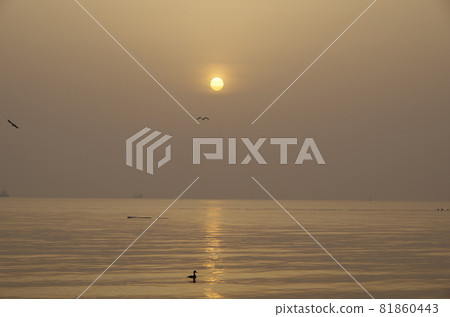 Chita Peninsula Mihama Town Sea and Sunrise Chita Peninsula Mihama Town Sea and Sunrise 81860443