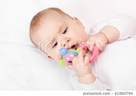 Little baby chews teether Little baby chews teether 81860794