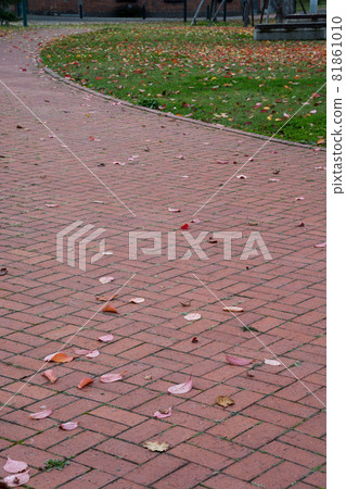 Autumn brick road and fallen leaves Autumn brick road and fallen leaves 81861010