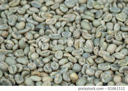 washed process of raw organic arabica green beans coffee from ethiopia africa ready to roast to quality coffee at the coffee shop, selective focus. agriculture and coffee industry concept. washed process of raw organic arabica green beans coffee from ethiopia africa ready to roast to quality coffee at the coffee shop, selective focus. agriculture and coffee industry concept. 81861512