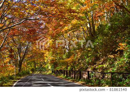 Autumn Hakkoda Mountains 81861540