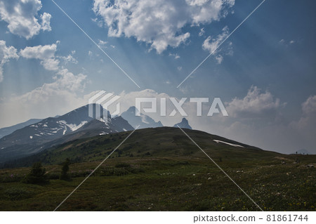 Parker's Ridge Meadow 加拿大艾伯塔省 Parker's Ridge Meadow 加拿大艾伯塔省 81861744