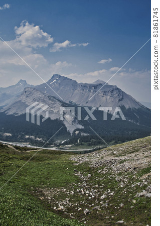Parker's Ridge Meadow 加拿大艾伯塔省 Parker's Ridge Meadow 加拿大艾伯塔省 81861745