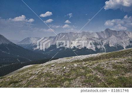 Parker's Ridge Meadow 加拿大艾伯塔省 Parker's Ridge Meadow 加拿大艾伯塔省 81861746