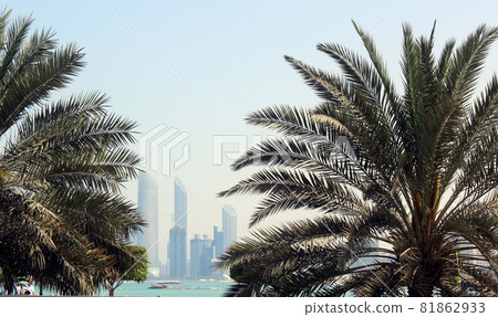 Abudabi, United Arab Emirates. Nice view of the city. Palm tree. 81862933