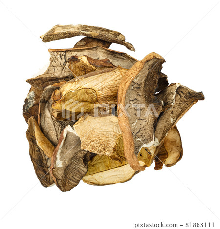 Dry white mushroom on a white background. Dry white mushroom on a white background. 81863111