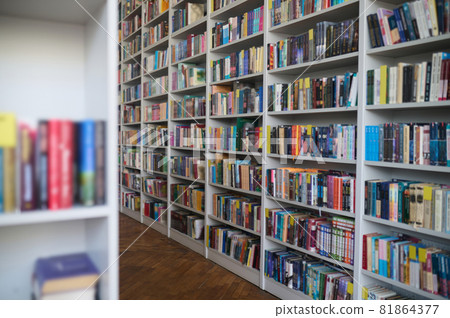 Shelving units packed with academic and modern light literature 81864377