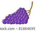 Grape 81864695