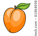 Apricot 81864698