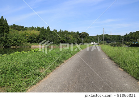 國家觀點 81866821