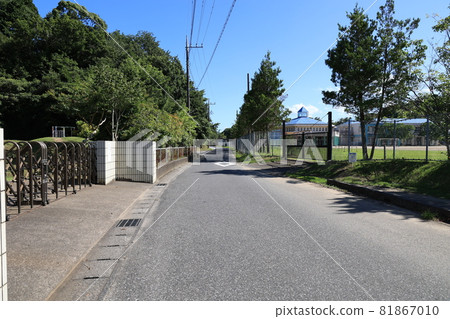 鄉村小路 81867010