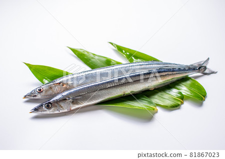 Saury and bamboo leaves 81867023