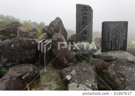 Spring of Tateyama Tamado 81867617