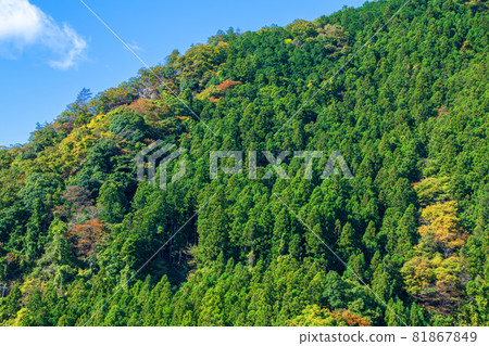 Lake Kanna Lakeside, scenery from Kinbira Bridge, autumn scenery, autumn leaves season 81867849