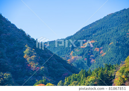 神那湖湖畔,金比羅橋的風景,秋天的風景,紅葉季節 神那湖湖畔,金比羅橋的風景,秋天的風景,紅葉季節 81867851