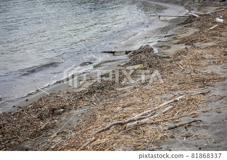 SDGs marine debris 81868337