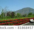 Italian small train station 81868457