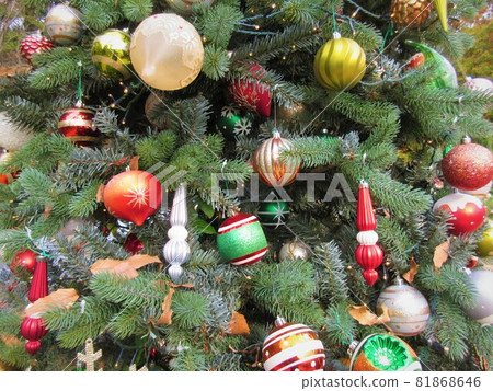 Christmas Image Christmas Image 81868646