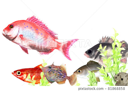 Tokyo bay fishing 81868858