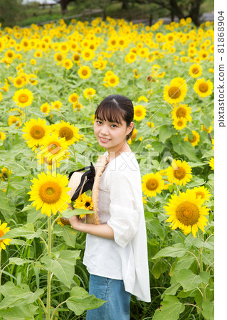 Female portrait in a sunflower field 81868904