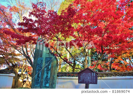 一休寺秋葉圖案 一休寺秋葉圖案 81869074