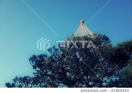 Pine Yukitsuri waiting for winter 81869383