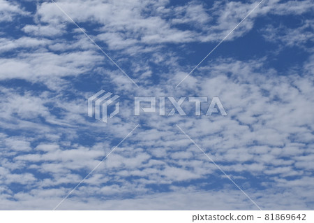 Yamadaike Park 81869642