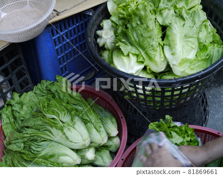 Traditional market 81869661