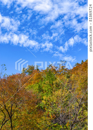 Yamanashi Prefecture Autumn leaves Shosenkyo 81869724
