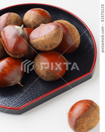 板栗果 板栗果 81870228