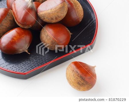 Chestnut fruit Chestnut fruit 81870229