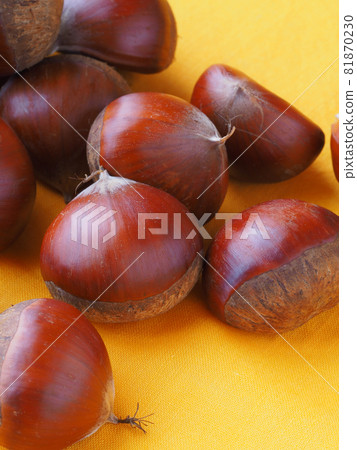 Chestnut fruit 81870230