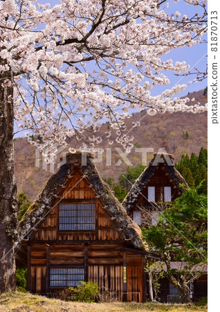 World Heritage Shirakawago Goseisaku Village World Heritage Shirakawago Goseisaku Village 81870713