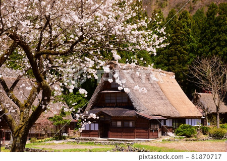 世界遺產五箇山合掌造村 81870717