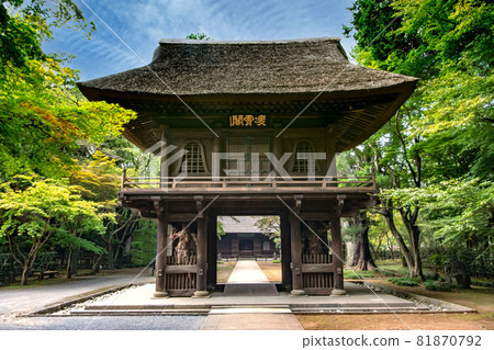Kinhozan Heirinji Temple of the Rinzai Sect Myoshinji Temple in Nobitome, Niiza City, Saitama Prefecture Kinhozan Heirinji Temple of the Rinzai Sect Myoshinji Temple in Nobitome, Niiza City, Saitama Prefecture 81870792