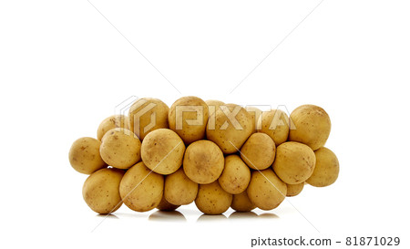 Clusters of fresh Longkong or Langsat or Duku Clusters of fresh Longkong or Langsat or Duku 81871029