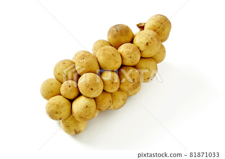 Clusters of fresh Longkong or Langsat or Duku 81871033
