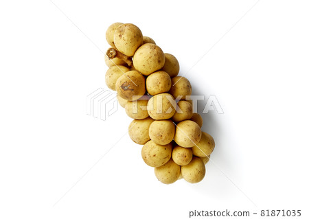 Clusters of fresh Longkong or Langsat or Duku Clusters of fresh Longkong or Langsat or Duku 81871035